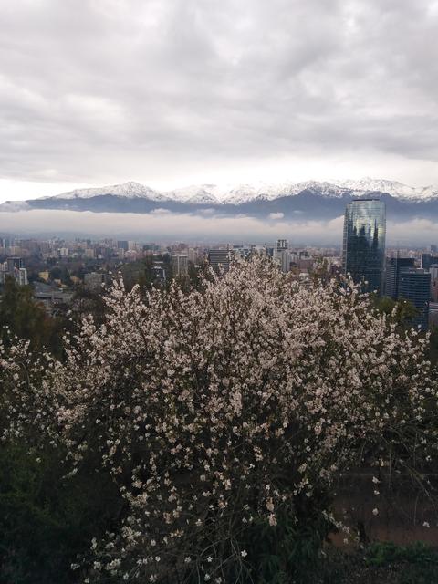 Santiago city tour, photo 6 of 15