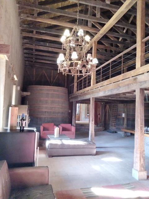 Wine valley tours, photo 6 of 16