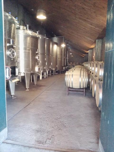Wine valley tours, photo 7 of 16